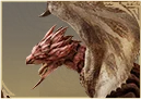 Pink Rathian (official artwork)